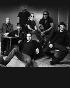 DAVE MATTHEWS BAND